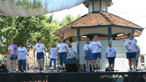 0023_DMC_AlaCoFair08