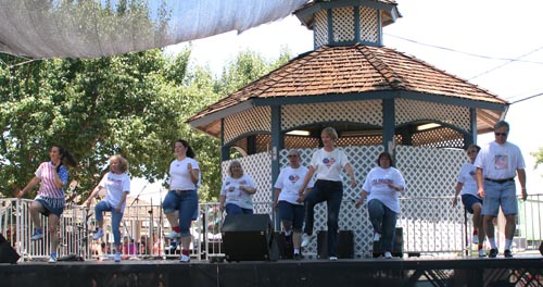 0105_DMC_AlaCoFair08